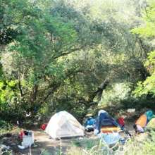 Nomadi, Amatiello: "Un vero e proprio villaggio sulla sponda del Tevere"