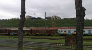 Ruba rame alla stazione Nuovo Salario, fermato dai Carabinieri